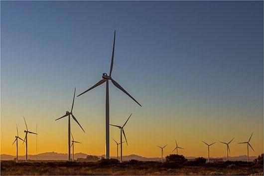 Windmill farm