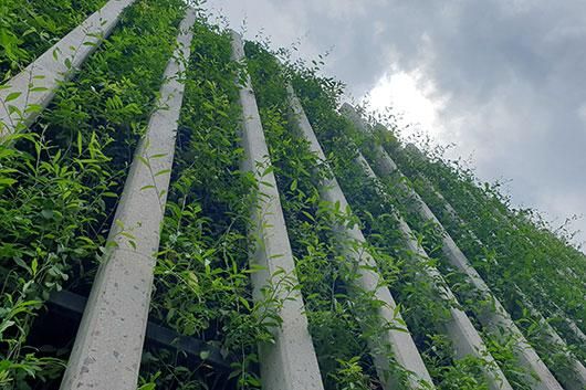 Vertical tree wall